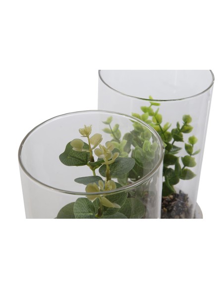 PLANTA PE CRISTAL 12X12X18 2 SURT.