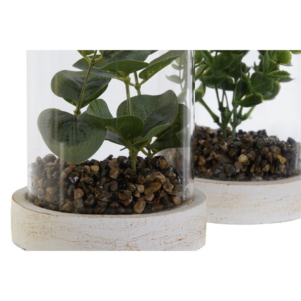 PLANTA PE CRISTAL 12X12X18 2 SURT.