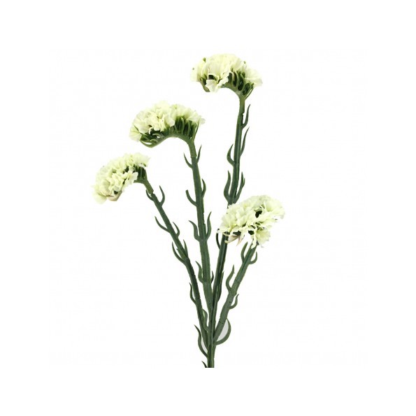 STATIS 64 CMS    2058-11