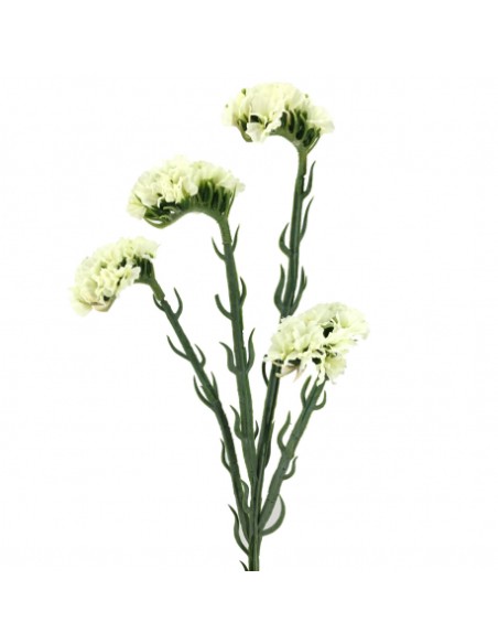 STATIS 64 CMS    2058-11