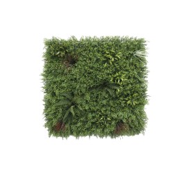 JARDIN VERTICAL HELECHO TROPICAL 100X100CM