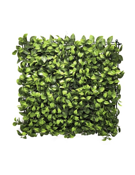 JARDIN VERTICAL LAUREL 50X50CM