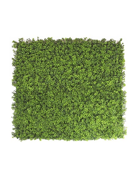 JARDIN VERTICAL TREBOL 100x100