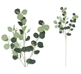 VARA EUCALIPTO X4 X40-105CM (VERDE)