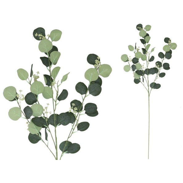 VARA EUCALIPTO X4 X40-105CM (VERDE)
