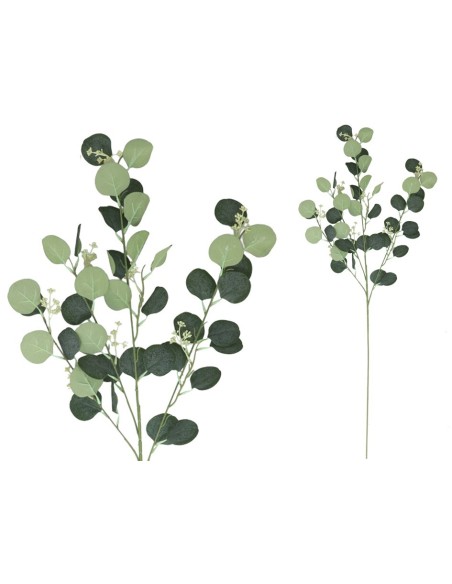 VARA EUCALIPTO X4 X40-105CM (VERDE)