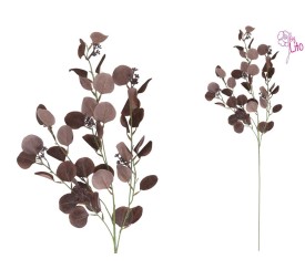 VARA EUCALIPTO X4 X40-105CM (BURDEOS)