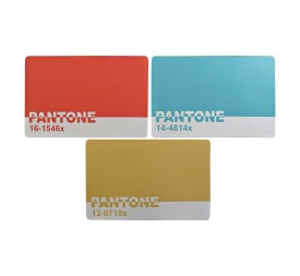 INDIVIDUAL GOMA 43,5X28,5X0,5 PANTONE 3 SURT.