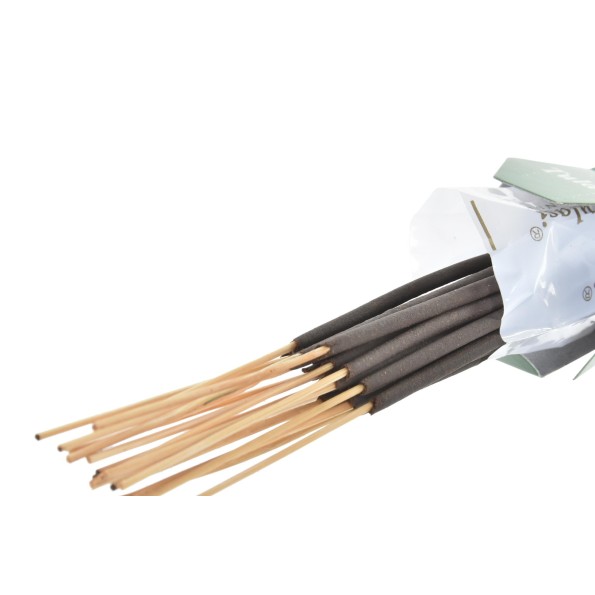 INCIENSO VARILLA SET 20 AROMA 9X6X25CM  SAN JUDAS