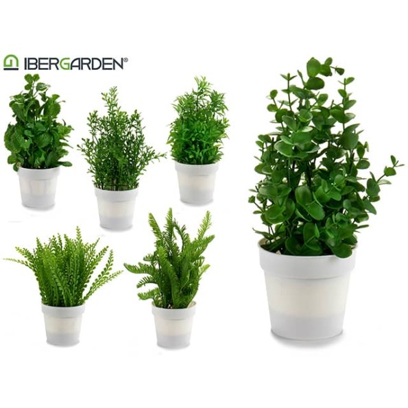 ARBUSTO C MACETA BLANCA PLANTAS SURT 6