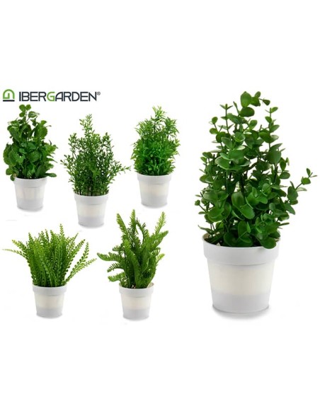 ARBUSTO C MACETA BLANCA PLANTAS SURT 6