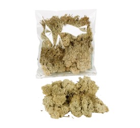 MUSGO FINLANDES 30 GRS. CREMA