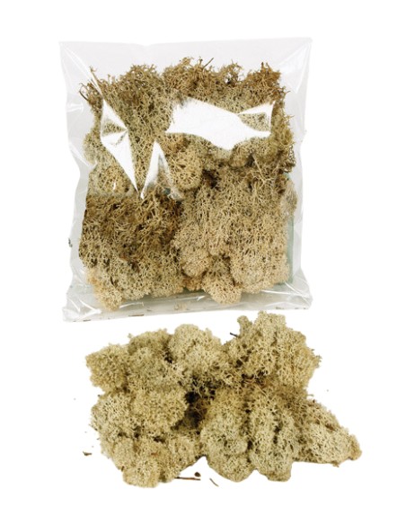 MUSGO FINLANDES 30 GRS. CREMA