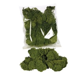 MUSGO FINLANDES 30 GRS.VERDE