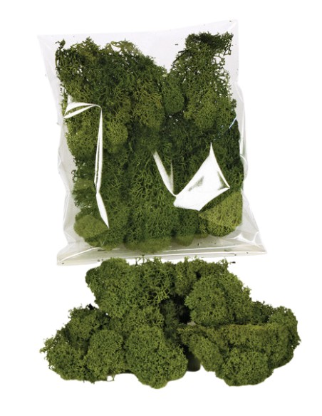 MUSGO FINLANDES 30 GRS.VERDE