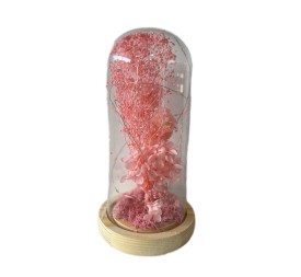 CUPULA FLOR SECA LED ROSA