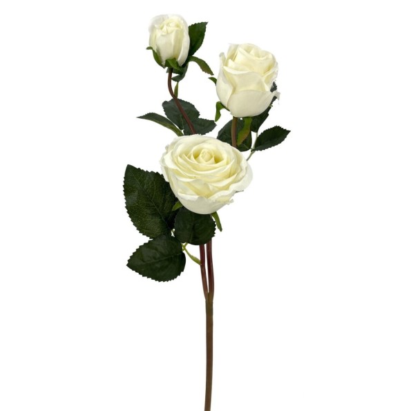 ROSA X3 POLIESTER CREMA 70cm (30cm) (A236-1)