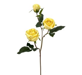 ROSA X3 POLIESTER AMARI.70cm (30cm) (A236-2)