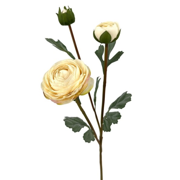 RANUNCULUS X3 POLIEST. CREAM 60cm(7cm) (A237-1)