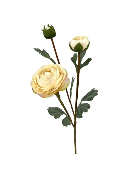 RANUNCULUS X3 POLIEST. CREAM 60cm(7cm) (A237-1)