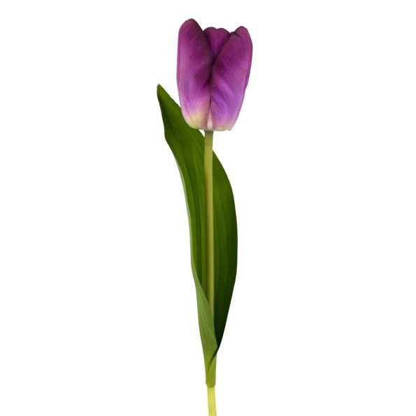 TULIPAN TACT.NAT. LILA 37cm(6cm) (A238-5)