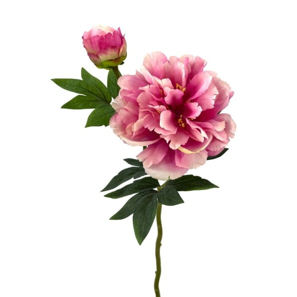 PEONIA X2 POLIEST.FUCSHIA 48cm(13cm) (A240-3)