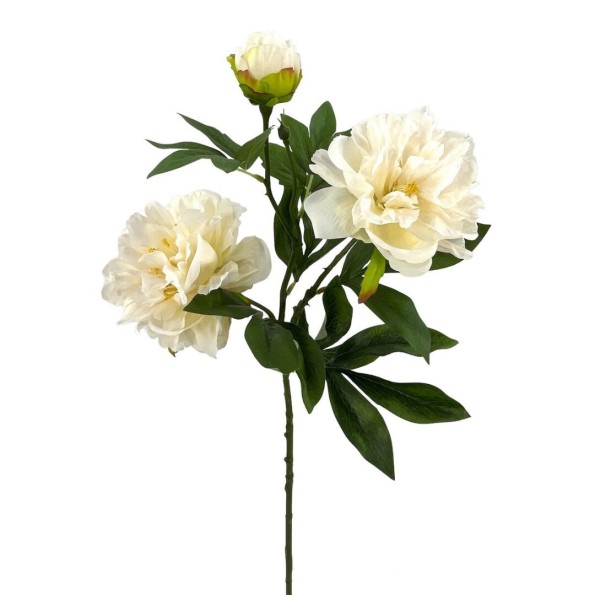 PEONIA X3 POLIEST.CREMA 78cm(13cm) (A241-1)