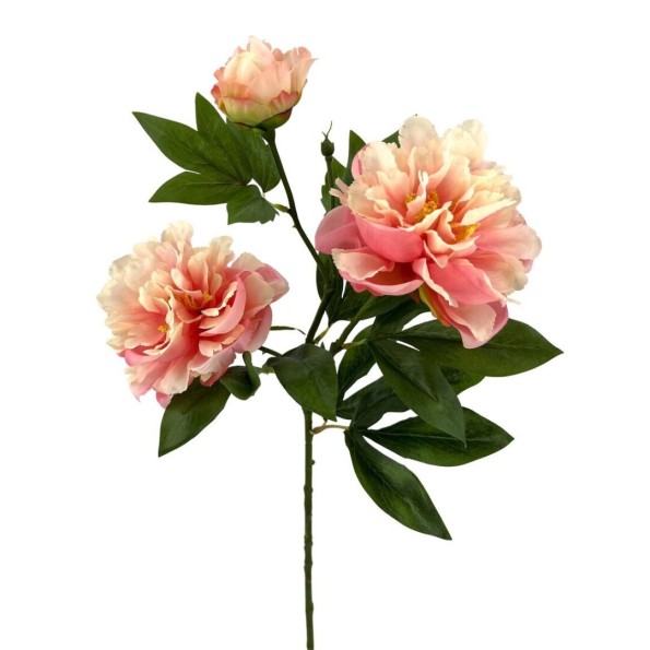 PEONIA X3 POLIEST.ROSA 78cm(13cm) (A241-2)