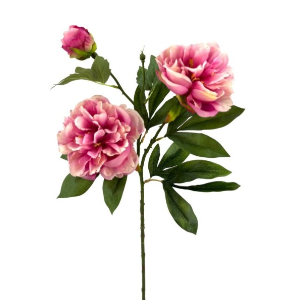 PEONIA X3 POLIEST.FUCSHIA 78cm(13cm) (A241-3)