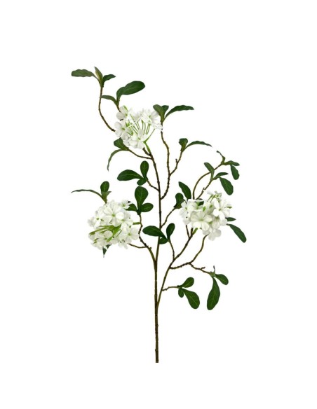 CELESTINA X3 POLIEST.CREMA 66cm(7cm) (A243-1)