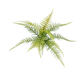 HELECHO PLASTICO 50cm (B308-1)