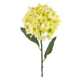 RAMA HORTENSIAX1 VERDE 67cm(18 (C992-5)