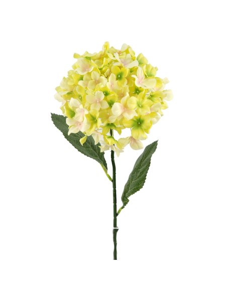 RAMA HORTENSIAX1 VERDE 67cm(18 (C992-5)