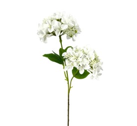 R.HORTENSIA X2 CREMA 56cm(10c