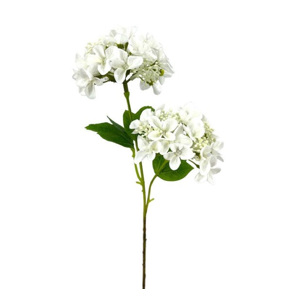 R.HORTENSIA X2 CREMA 56cm(10cm) (E607-1)