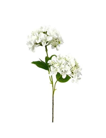 R.HORTENSIA X2 CREMA 56cm(10c