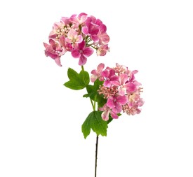 R.HORTENSIA X2 ROSA 56cm(10cm