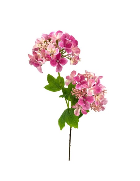 R.HORTENSIA X2 ROSA 56cm(10cm