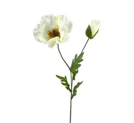 AMAPOLA X2 SATEN CREAM 73cm(12CM)