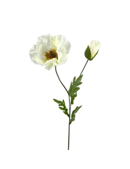 AMAPOLA X2 SATEN CREAM 73cm(12CM)