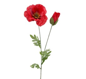 AMAPOLA X2 SATEN ROJA 73cm(12CM)