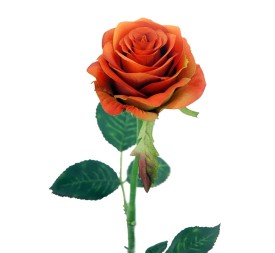 ROSA X1 NARANJA 57CM(8CM) (Q358/3)