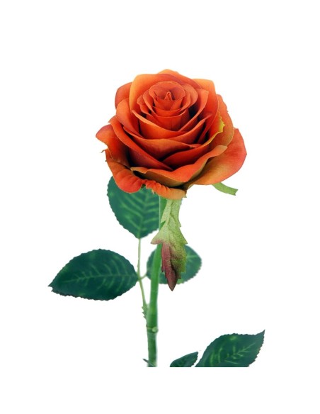 ROSA X1 NARANJA 57CM(8CM) (Q358/3)