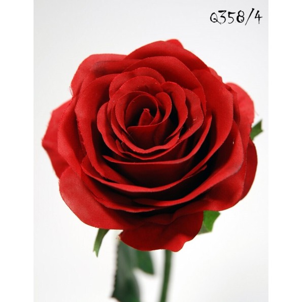 ROSA X1 ROJA 57CM (8CM)