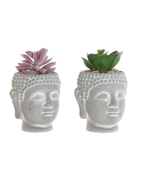 PLANTA CEMENTO PE 8,5X8,5X14 3 SURTIDO