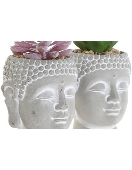 PLANTA CEMENTO PE 8,5X8,5X14 3 SURTIDO