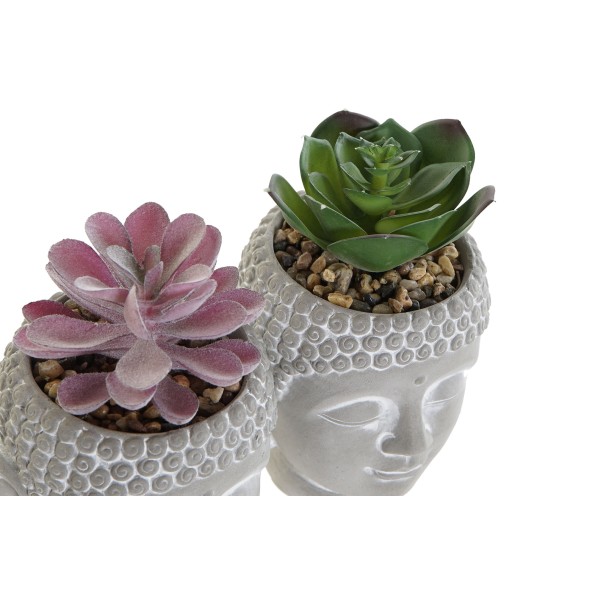 PLANTA CEMENTO PE 8,5X8,5X14 3 SURTIDO