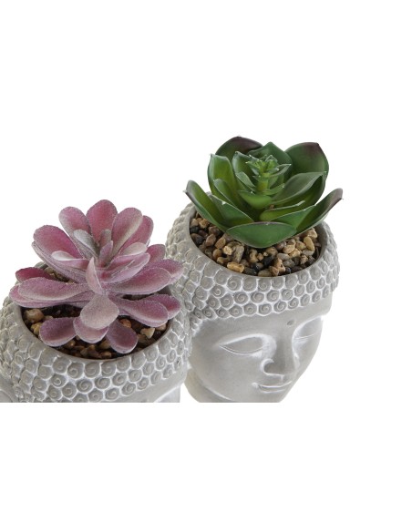 PLANTA CEMENTO PE 8,5X8,5X14 3 SURTIDO