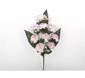 CONJUNTO CLAVEL PLANO X 9-53C