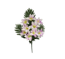 CONJUNTO LIIES SATIN X 9-50 CM (